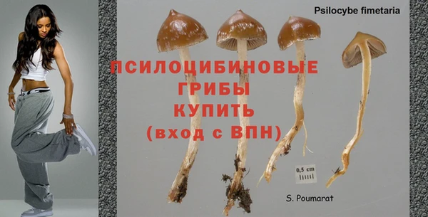 не бодяженный Алексин