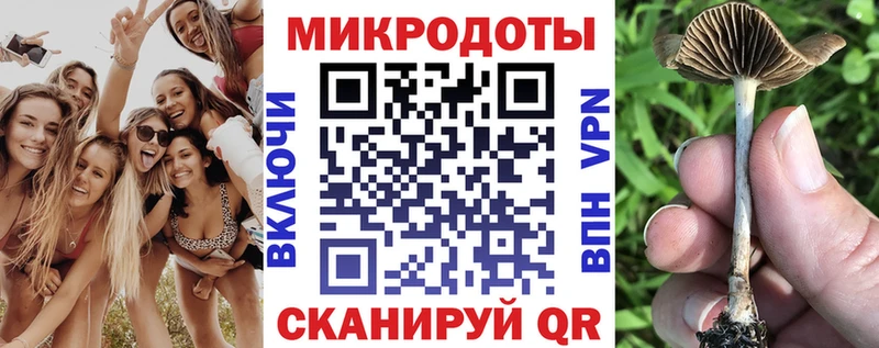 Псилоцибиновые грибы Cubensis  купить закладку  Усть-Кут 