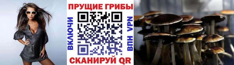 Галлюциногенные грибы Psilocybine cubensis Усть-Кут