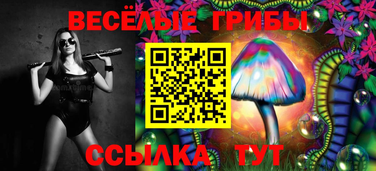 Галлюциногенные грибы прущие грибы Усть-Кут